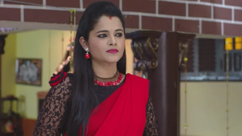 Watch Rama Sakkani Seetha TV Serial 13th January 2020 Full Episode 145 ...