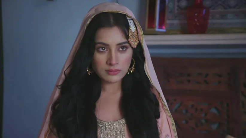 Dheedo sneaks in the haveli and sees Heer - Heer Ranjha