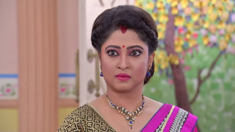 The briefcase goes missing - Bokul Katha