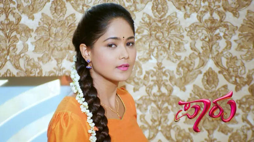 Anushka Tries to Solve the Puzzle - Paaru