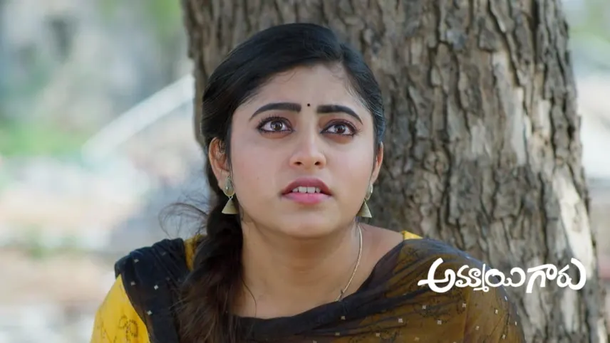 Amma nenu o ammayi telugu serial full episodes watch online new arrivals