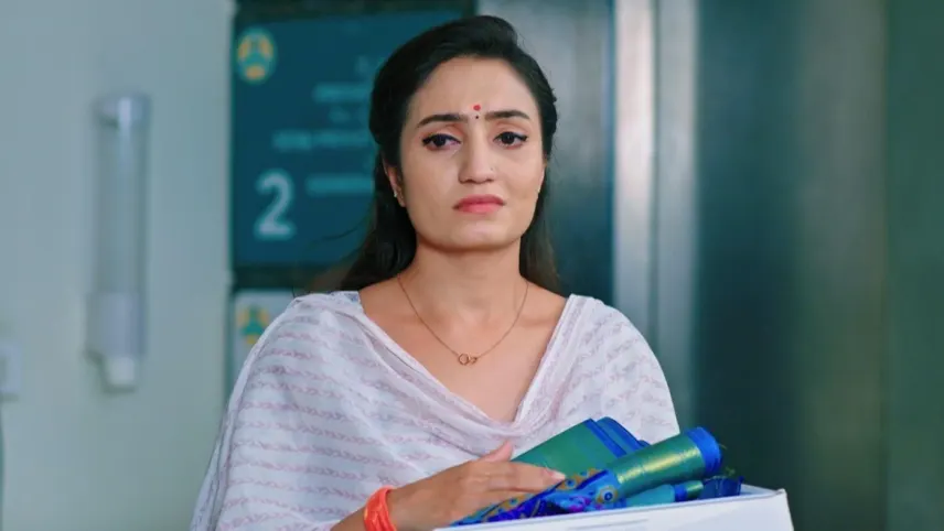 Seetha serial discount today episode online