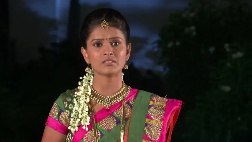 mudda mandaram zee telugu serial today episode mudda mandaram zee telugu serial today episode