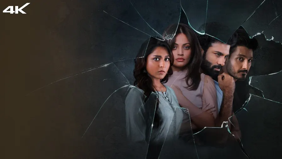 Expiry Date Web Series