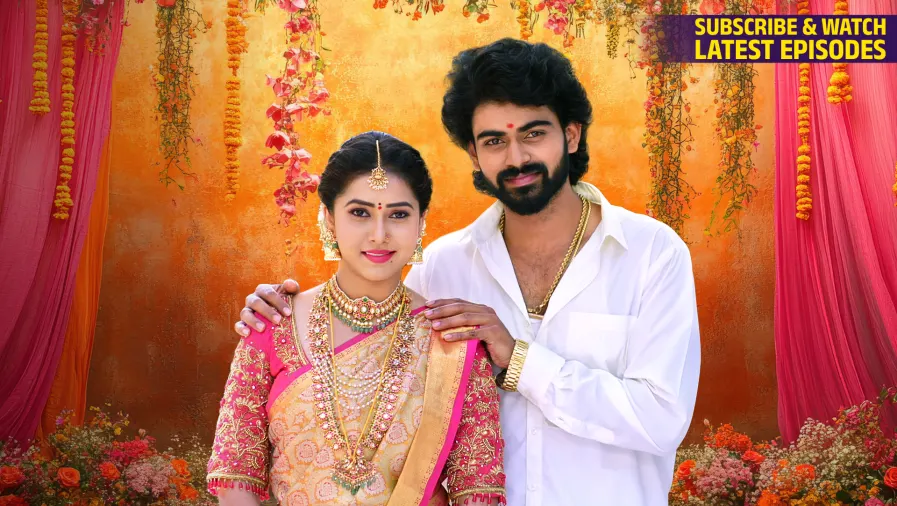 Puttakkana Makkalu TV Show