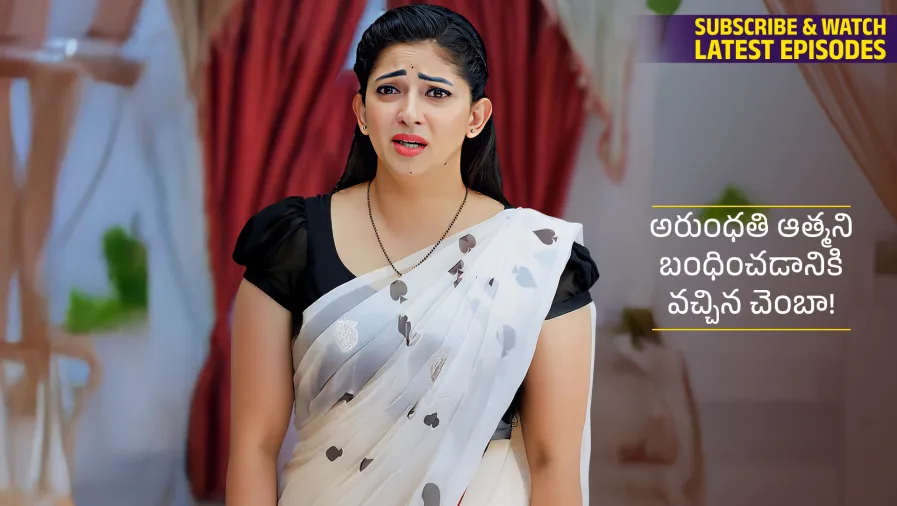 Nindu Noorella Saavasam TV Show