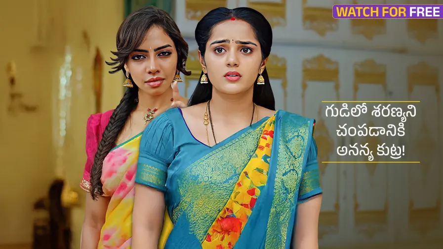 Ummadi Kutumbam TV Show