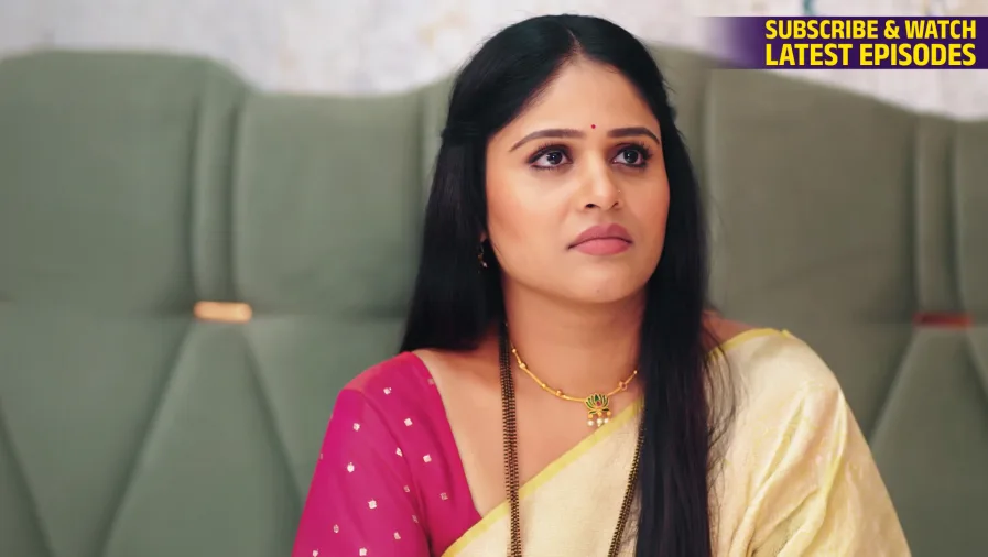 Lakshmi Niwas TV Show
