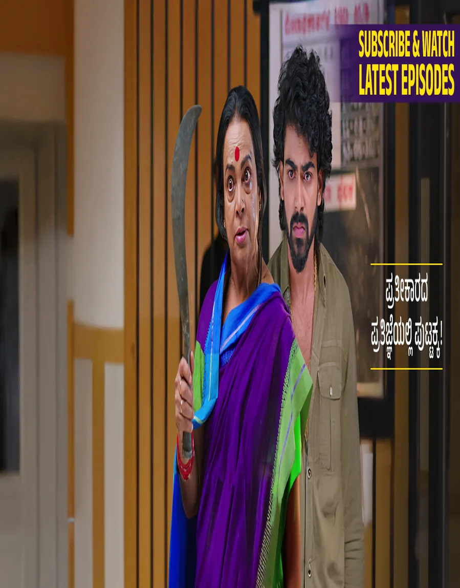 Puttakkana Makkalu TV Show