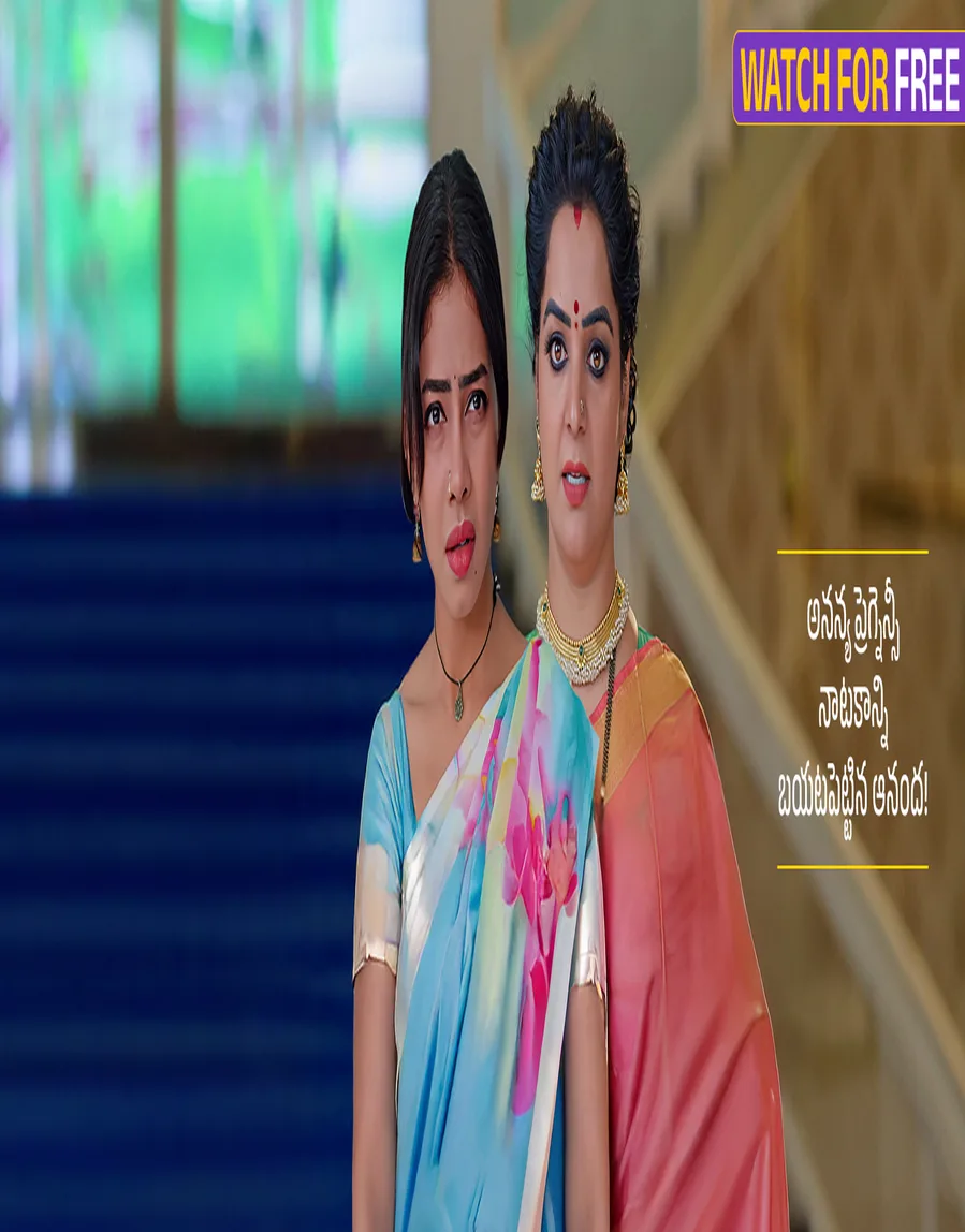 Ummadi Kutumbam TV Show