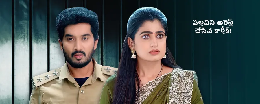 Radhaku Neevera Praanam Radhaku Neevera Praanam