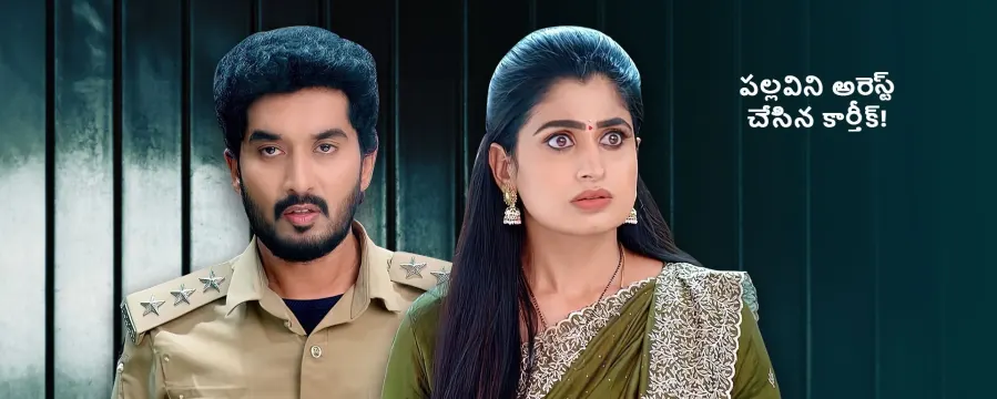 Radhaku Neevera Praanam Radhaku Neevera Praanam