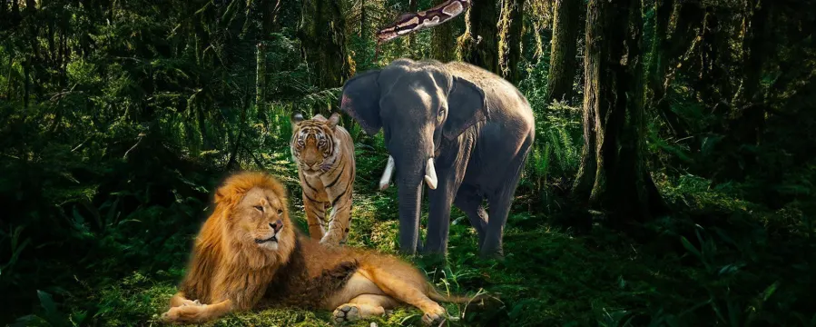 Animals in Mythology