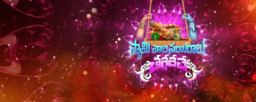 Swamy Vari Sambaralu Taggede Le